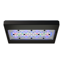 Lade das Bild in den Galerie-Viewer, Ecotech Marine Radion G6