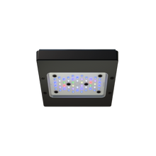 Lade das Bild in den Galerie-Viewer, Ecotech Marine Radion G6