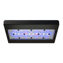 Lade das Bild in den Galerie-Viewer, Ecotech Marine Radion G6