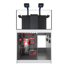 Lade das Bild in den Galerie-Viewer, Red Sea REEFER MAX 250 G2+ Voll ausgestattet (mit Technikpaket)
