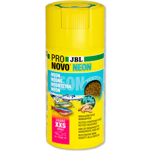 JBL PRONOVO NEON GRANO XXS