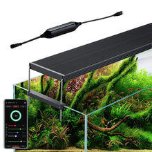 Lade das Bild in den Galerie-Viewer, Chihiros WRGB 2 Pro
