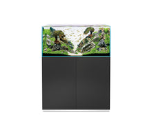 Lade das Bild in den Galerie-Viewer, OASE ScaperLine 100 schwarz Set
