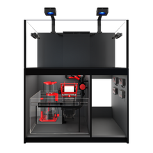 Lade das Bild in den Galerie-Viewer, Red Sea REEFER MAX 425 G2+ Voll ausgestattet (mit Technikpaket)
