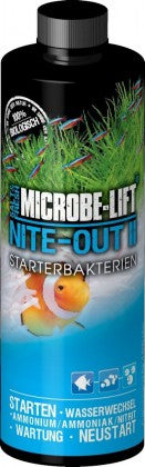 Nite-Out II - Starterbakterien