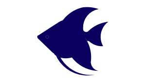 Guppy m. Gabelschwanz neon